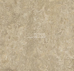 Линолеум Forbo Marmoleum Marbled Real 3234 Forest Ground фото 1 | FLOORDEALER